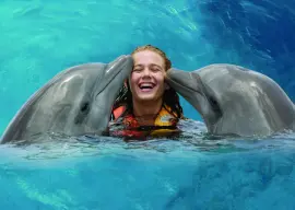 Entertainment excursions