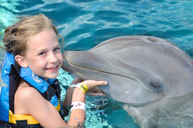 1Excursion Dolphinarium in Sharm-El-Sheikh