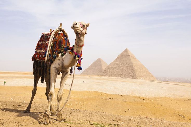 6Excursion to Cairo by Bus from Sharm-el-Sheikh