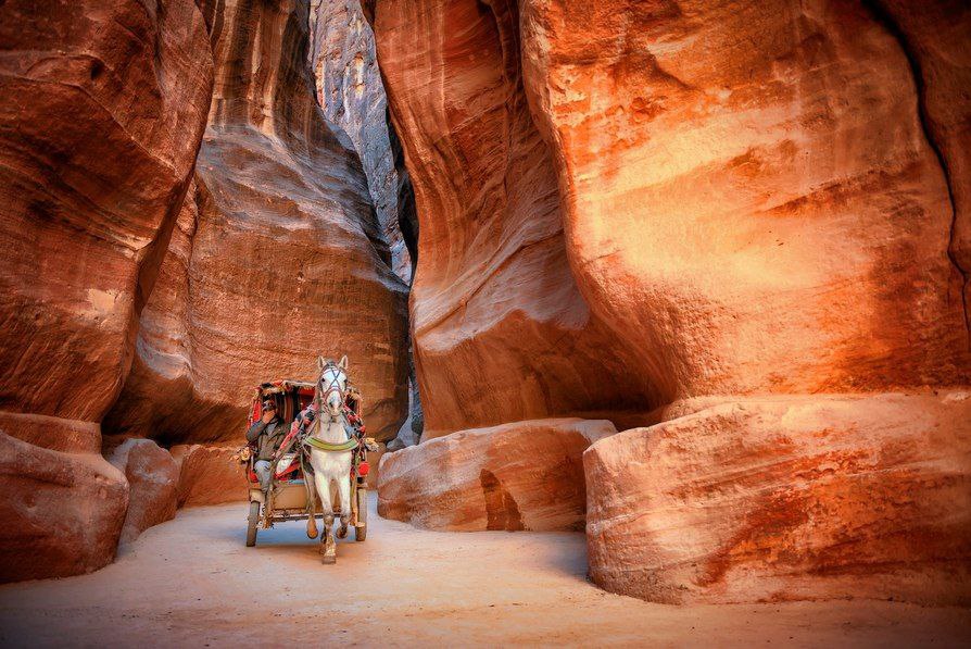 4Petra (Jordan) Excursion from Sharm-El-Sheikh