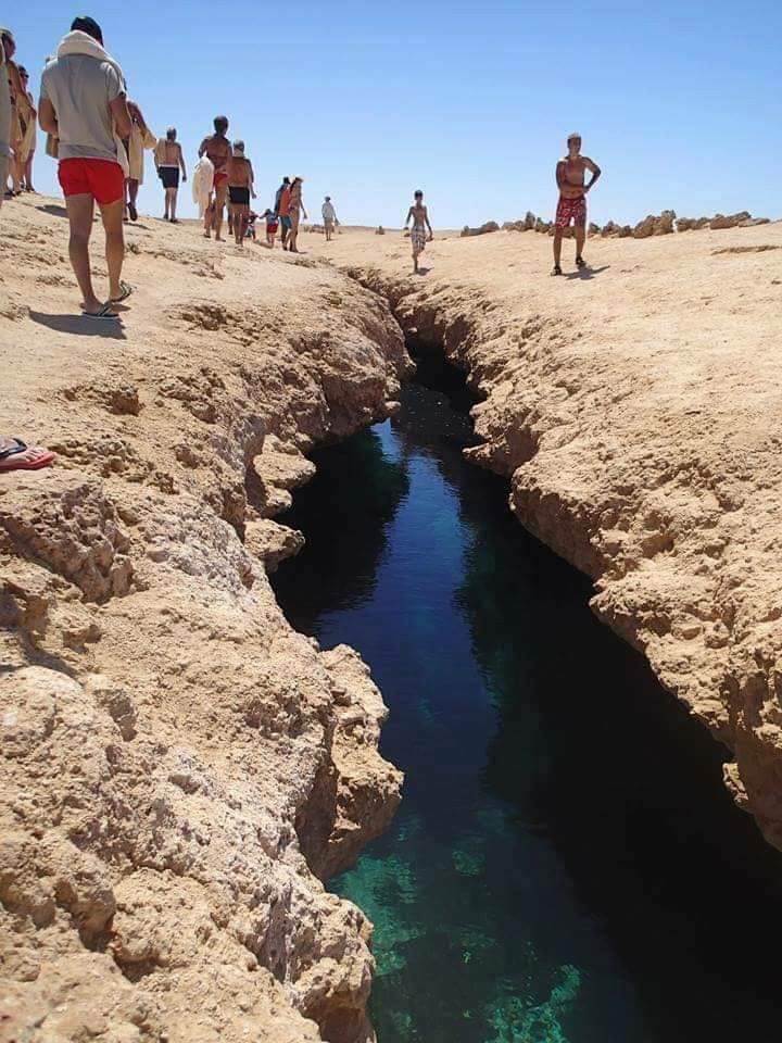 1Excursion to Ras Mohammed by Bus from Sharm-el-Sheikh