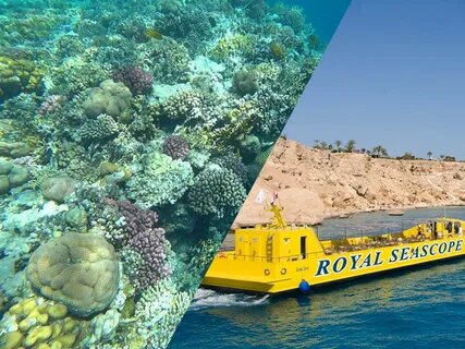 1Semi-Submarine Excursion In Sharm-El-Sheikh