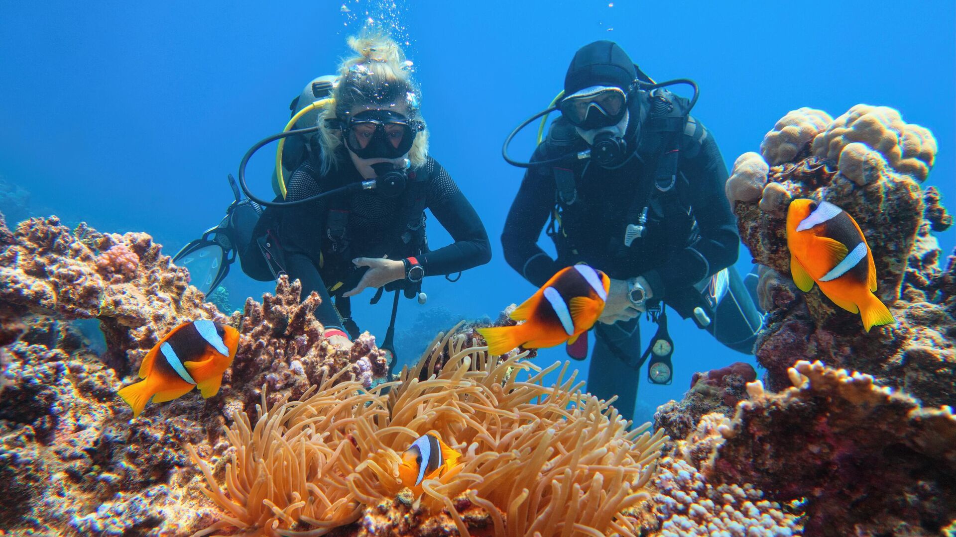 2INTRO DIVE Trip in Sharm-El-Sheikh