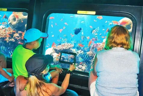 2Semi-Submarine Excursion In Sharm-El-Sheikh