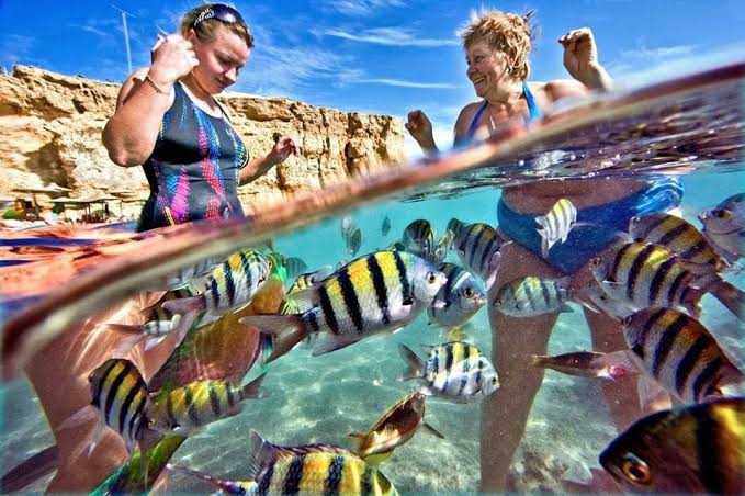 3Excursion to Ras Mohammed by YACHT from Sharm-el-Sheikh