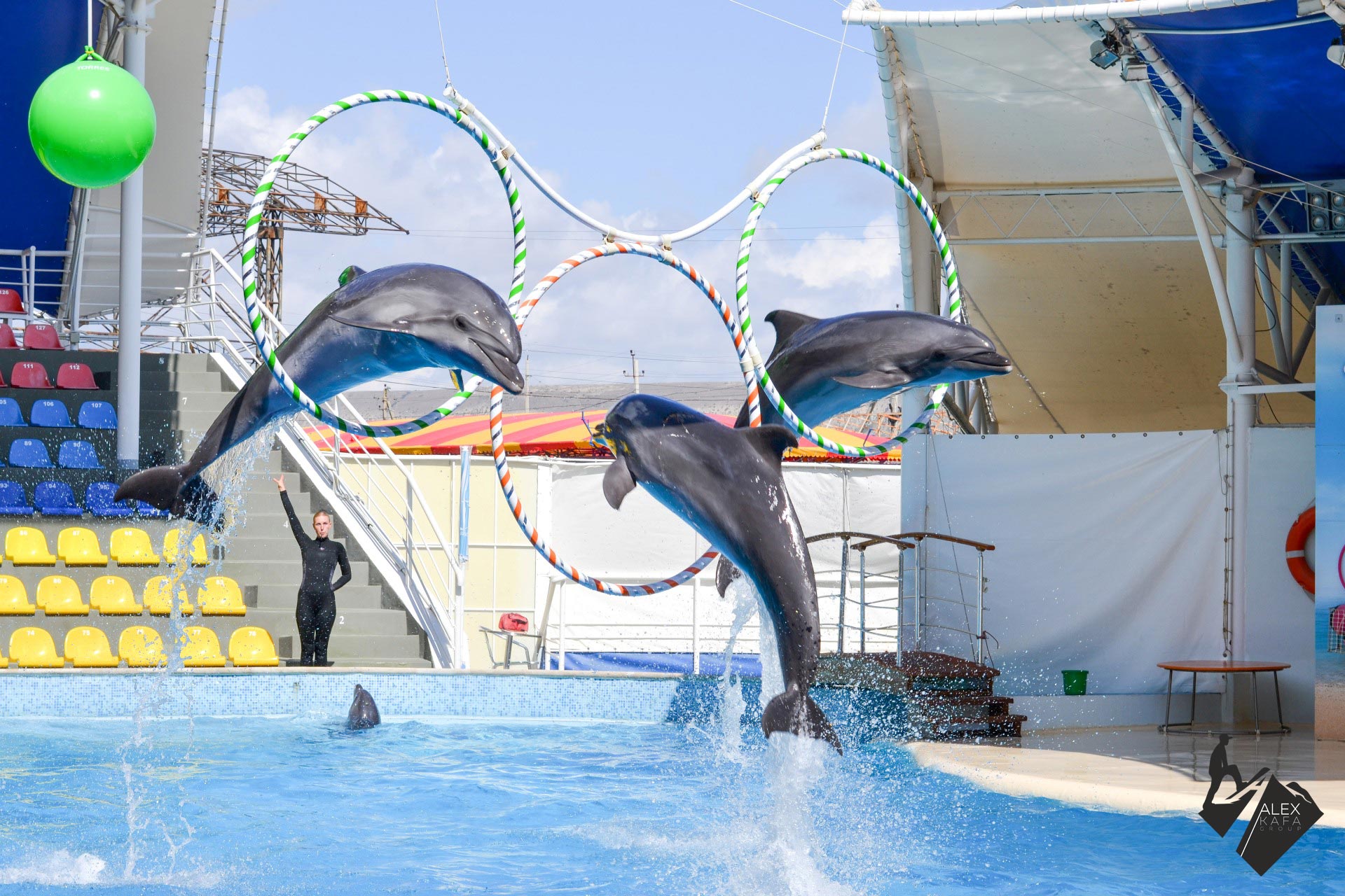 5Excursion Dolphinarium in Sharm-El-Sheikh