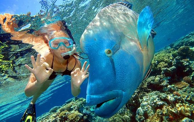 9Excursion to Ras Mohammed by Bus from Sharm-el-Sheikh